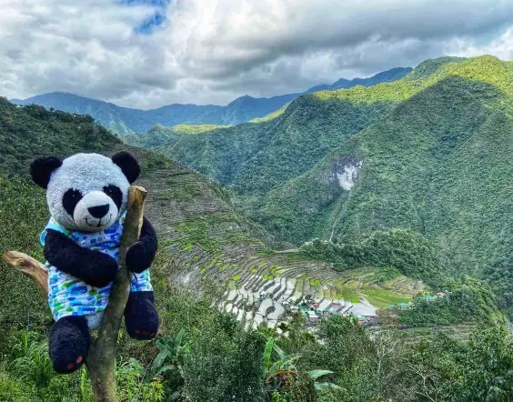 The Banaue Rice Terraces
