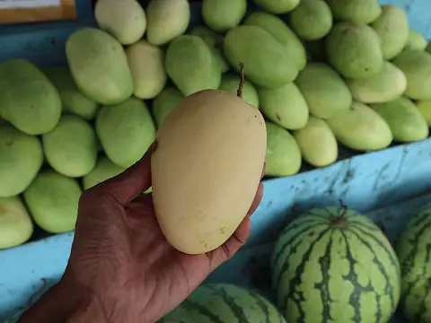 Guimaras mangoes for sale along the Circumferential Road, Jordan
