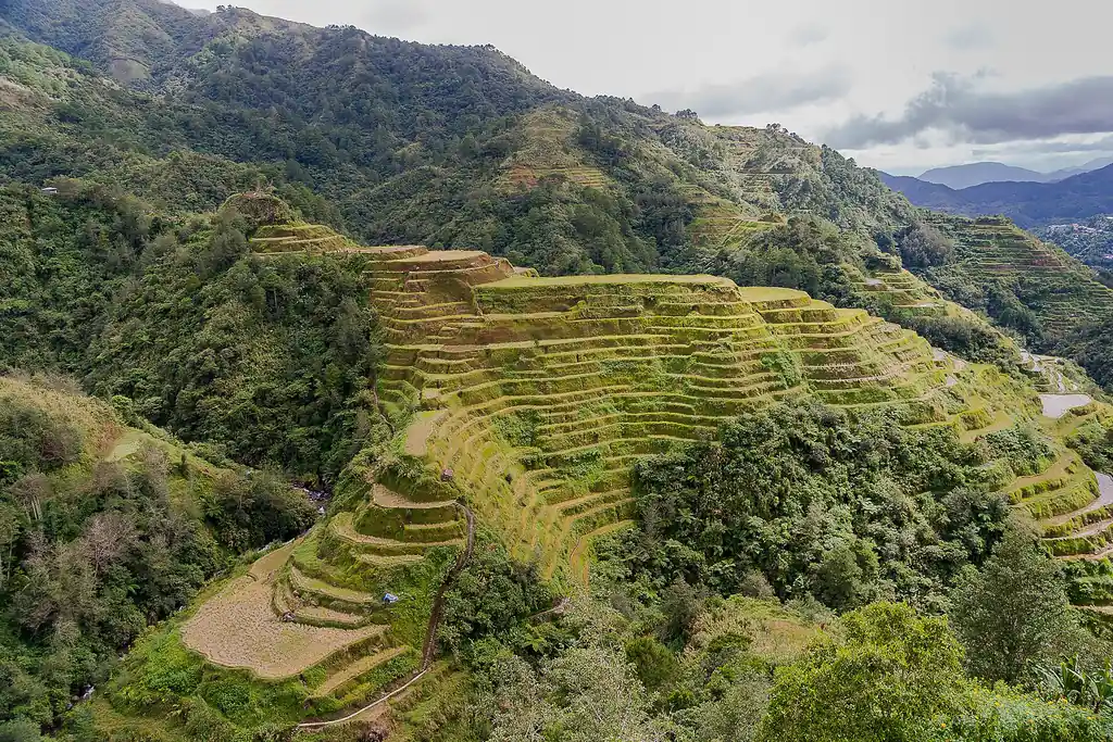 The Banaue Rice Terraces in Ifugao