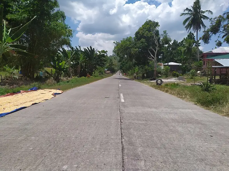 A country road through Nangi, Upi