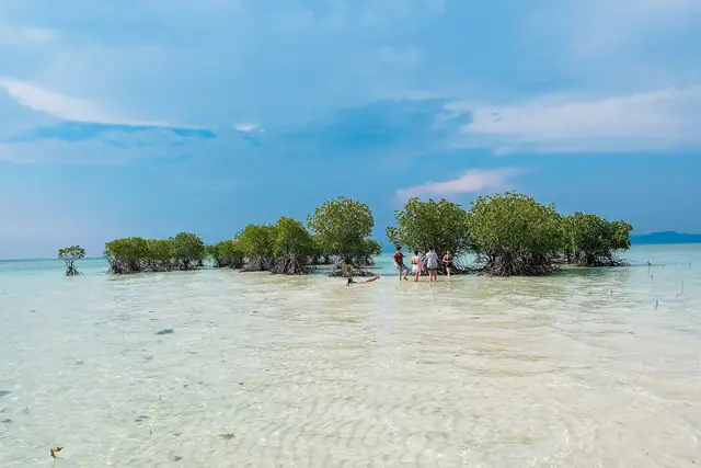 The sandbar and mangroves of Buntod Reef Marine Sanctuary, Masbate City