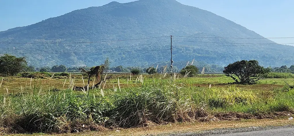 Mount Arayat rising above the plain of Pampanga