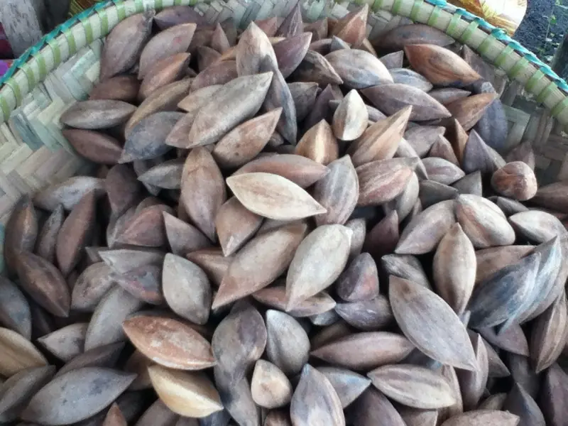 A basket of shelled pili nuts